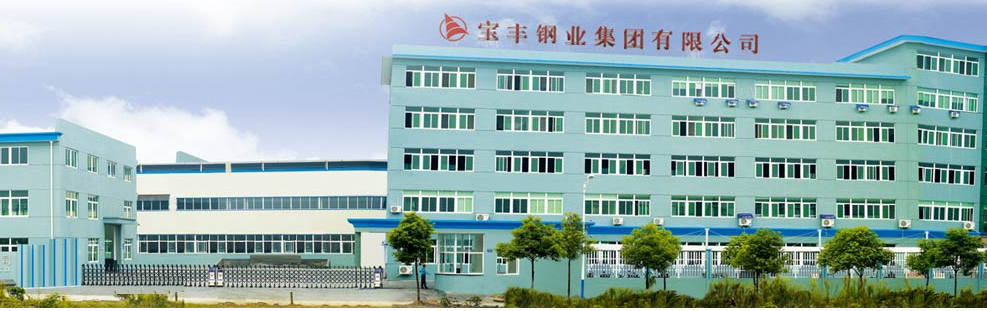 Baofeng Steel Group Co., Ltd
